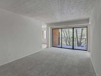 1501 Regency Woods Rd unit 301, Henrico, VA 23238 - photo 2