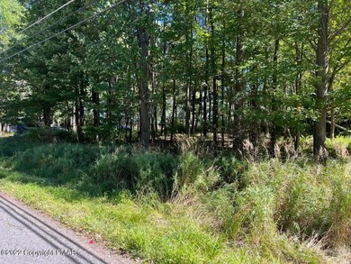 0 Lake Shore Dr 1 Land Lot unit PM-100783, Pocono Lake, PA 18347 - photo 3
