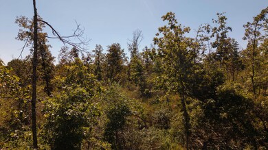 000 A Hwy, Thayer, MO 65791 - photo 7