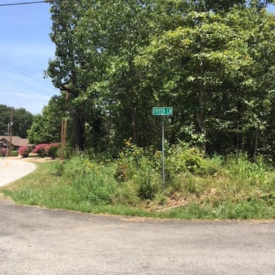 Lot 1 Block 10 Sherlock Dr Fryer Ln, Bella Vista, AR 72715 - photo 4