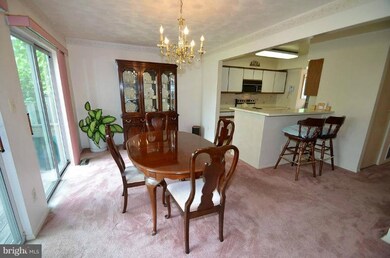 29 Cobber Ln, Baltimore, MD 21229 - photo 3