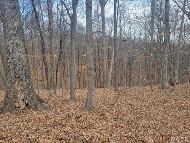 437 Big River View, Meramec Township, MO 63025 - photo 5