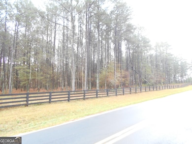 +/- 7 ACRES Youth Jersey Rd, Covington, GA 30014 - photo 4