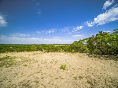 1027 & 2005 Oak Bend Lane Ct, Weatherford, TX 76088 - photo 5