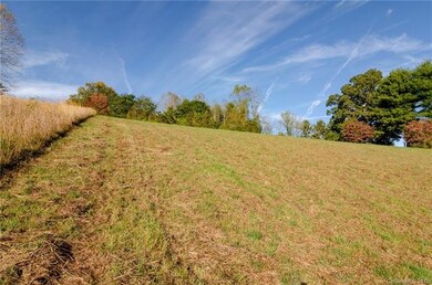 9999 Highcrest Dr, Leicester, NC 28748 - photo 2