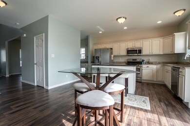 11052 Elkhart Place, Crown Point, IN 46307 - photo 4