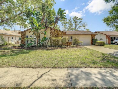 616 Sugar Mill Rd, Tarpon Springs, FL 34689 - photo 3
