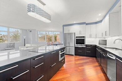 Hampton Place unit 207S, Chestnut Hill, MA 02467 - photo 3