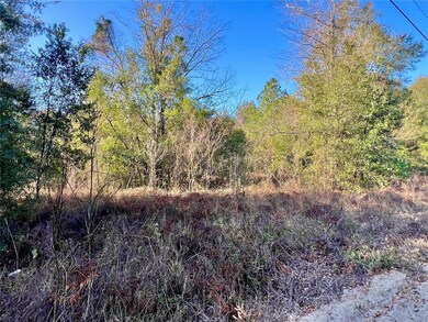 0 0 Nw 7th Place unit MFROM694137, Ocala, FL 34482 - photo 6