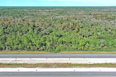 Alligator Alley, Naples, FL 34117 - photo 2