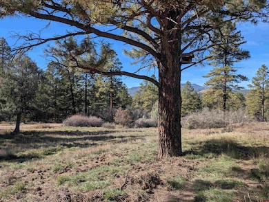 472 Haystack Cir, Pagosa Springs, CO 81147 - photo 6