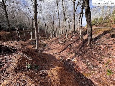 Lots 37 and 38 Snow Ridge Rd, Banner Elk, NC 28604 - photo 4