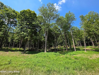 2 Cave Creek Rd, Falls of Rough, KY 40119 - photo 7