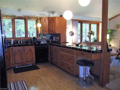 1039 Middle Rd, Conneaut, OH 44030 - photo 3