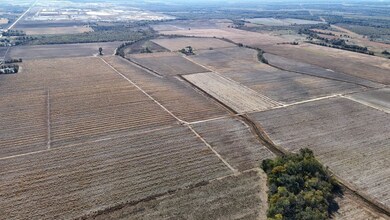 Highway 183 Lot unit Wp001, Holly Ridge, LA 71269 - photo 3