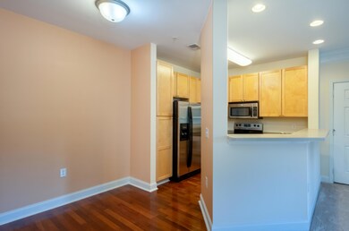 Dining Area and Kitchen