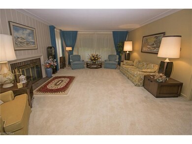 Crown molding and plush carpet