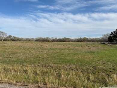 13208 Adkins Saint Hedwig Rd, Saint Hedwi1, TX 78152 - photo 3