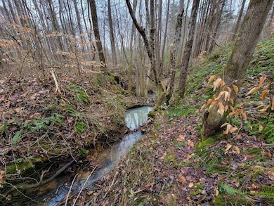 145 Joe Harris Ln, Cookeville, TN 38506 - photo 3