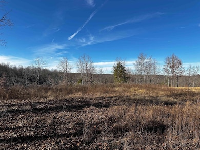 000 Heulan Way, Mountain View, AR 72560 - photo 2