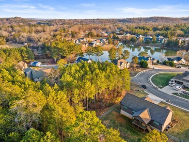 6-0 Inlet Dr Aerial-06