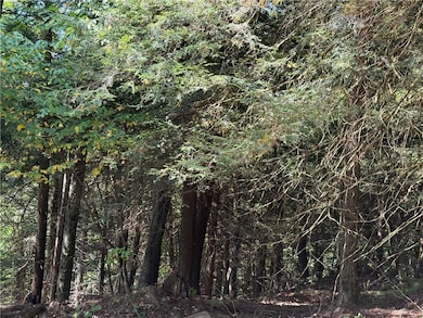 0 Alma Hill Rd unit R1637531, Alma, NY 14895 - photo 7