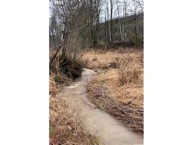 0 Barker Rd unit 187590890, Rainier, OR 97048 - photo 4