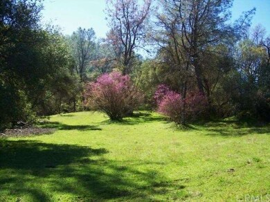 Beautiful natural usable land