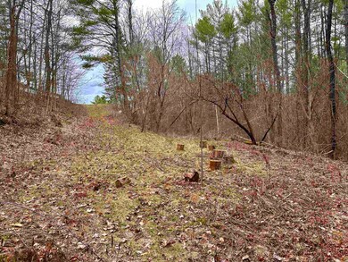 0 Highland St, Whitefield, NH 03598 - photo 3