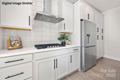 1704 Coral Bark Ln unit 19, Charlotte, NC 28216 - photo 6