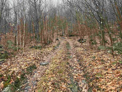 2730 Farrar Rd, Newport, VT 05857 - photo 5