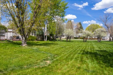 806 Yampa Ave, Craig, CO 81625 - photo 4