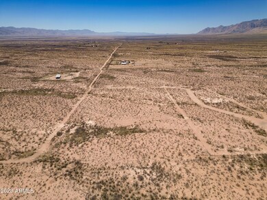 DJI_0516