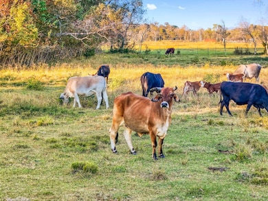Tbd Cr 2090, Liberty, TX 77575 - photo 2