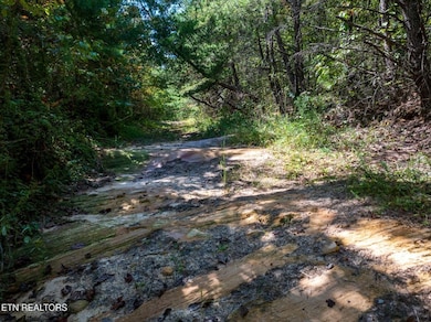 0 Tiffany Ln unit 239598, Jamestown, TN 38556 - photo 5