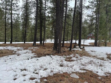 4XX Couples Ct, Chewelah, WA 99109 - photo 2