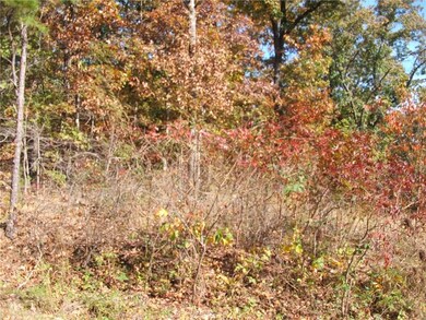 11 White Parish Ln, Bella Vista, AR 72714 - photo 2