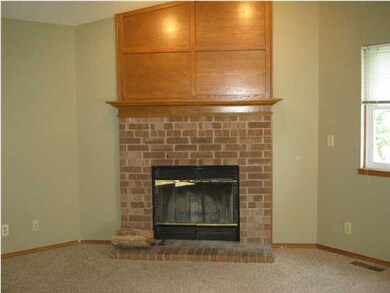 Wood burning fireplace