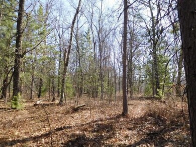 0 Hayden Lake Rd unit 1517380, Danbury, WI 54830 - photo 5