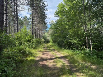 TBD (Option C) Maple Grove Rd, Cloquet, MN 55720 - photo 6