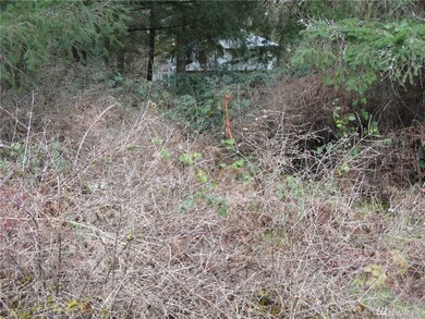 20508 182nd St E, Orting, WA 98360 - photo 4