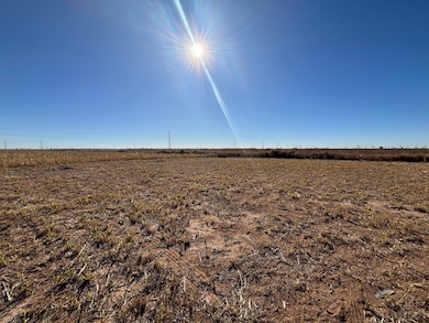 1713 E County Road 5500, Lubbock, TX 79403 - photo 4