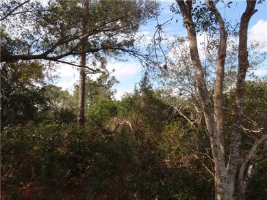Land/Lot