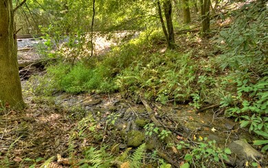 Additional View
