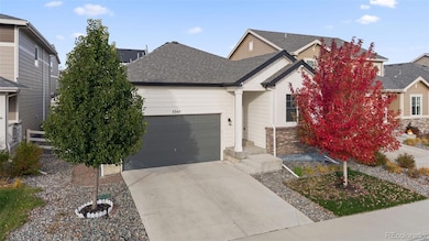 5347 Gray Wolf Ln, Castle Rock, CO 80104 - photo 2