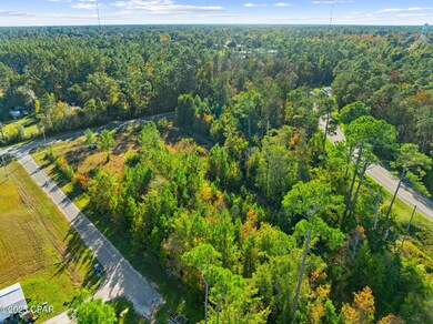 135 Canning Dr, Wewahitchka, FL 32465 - photo 4