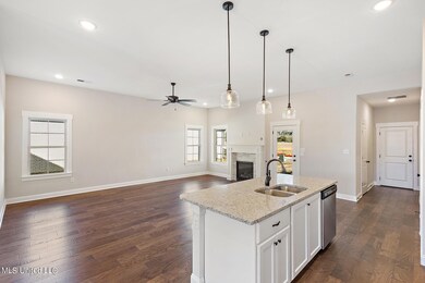 Kitchen / Living area