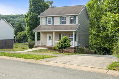 1054 Snowden Terrace, Johnson City, TN 37601 - photo 2