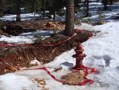 Fire hydrant on property