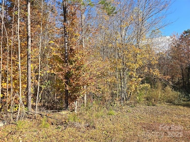 856 Horseshoe Bend Rd, Troy, NC 27371 - photo 7